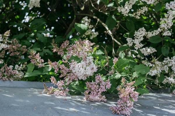 La Guida Completa per Un Nuovo Inizio nella